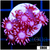 ASD Cherry Blossom Goni