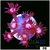 CLEARANCE - ASD Cherry Blossom Goni