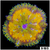 Ultra Maxi Mini Carpet Anemone