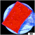 Red Monti Cap