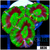 UFO Acan Lord