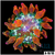 ASD Rainbow Bubble Tip Anemone