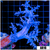 Purple Nephthea Tree Coral