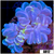 Mint Patch Bubble Coral