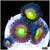 ASD Sweet Tooth Zoas