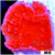 Red Monti Cap