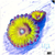 Chiquita Zoanthids