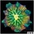 Orange Ring Maxi Mini Carpet Anemone