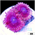 Halle Berry Zoas
