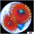 ASD Magician Zoanthids