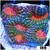 Pumpkin Eye Acan Echinata