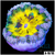Banana Core Rock Flower Anemone