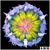 Banana Core Rock Flower Anemone