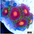 Blow Pop Zoas