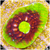 Toxic Watermelon Chalice Multiples Available