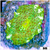 Neon Spotted Discosoma