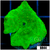Indo Kryptonite Discosoma