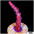 Red Robin Staghorn Acropora