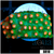 Indo Meteor Shower Cyphastrea