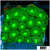 Nuclear Leptastrea