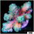 Bubble Blue Acropora