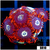 Icy Hot Zoas
