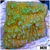 Nuclear Plating Monti