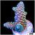Iced Emerald Millepora