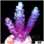 Rose Petals Acropora
