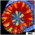 Aussie Rainbow Inferno Button Scoly