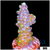 Green Galaxy Acropora