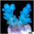 Aussie Ice Tort Acropora