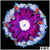 ASD Rose Rock Flower Anemone