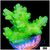 Alien Slime Acropora