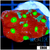 Grafted War Coral Favia