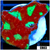 War Coral Favia
