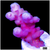 Aussie Bubble Tip Acropora