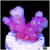 Aussie Bubble Tip Acropora