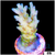 Wonderland Acropora