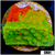 Grafted Montipora