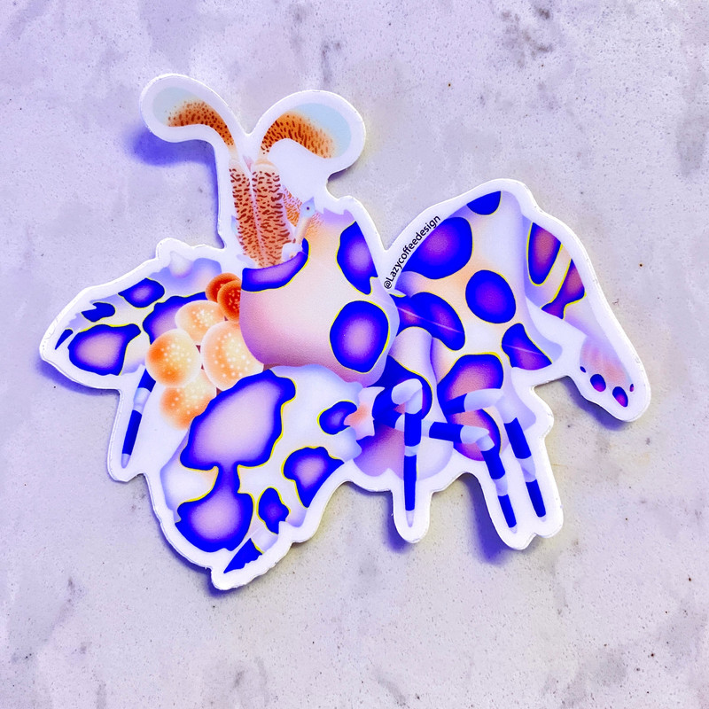 Harlequin Shrimp