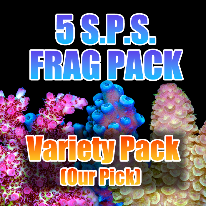 ASD 5 Acro Pack