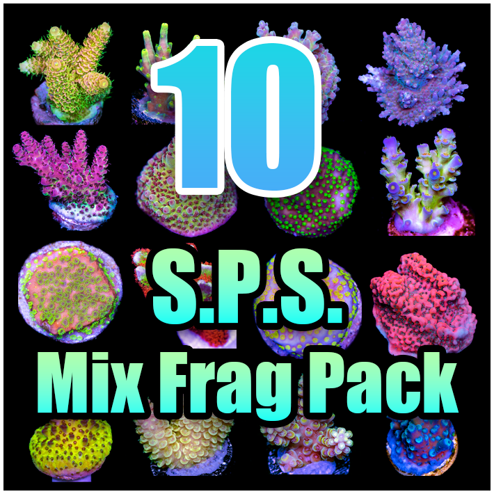 10 ASSORTED SPS MIX FRAG PACK