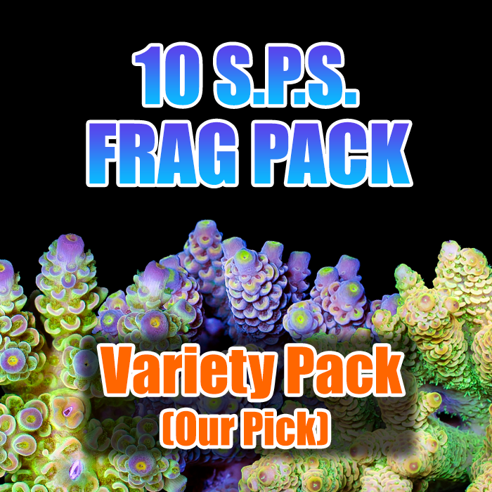 ASD 10 Acro Pack