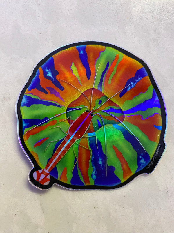 Scoly Lollipop Sticker