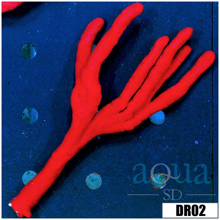 Red Finger Sponge