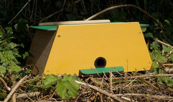 Bumblebee Nester - Mini Mammal House