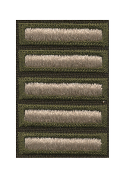 Combat Service Stripes - Female AGSU (Pinks & Greens) Five (30 Months)