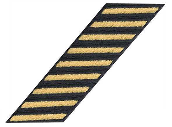 Service Stripes Female - Dress Blue Nine (27 Years)