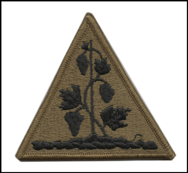 Patch-Connecticut National Guard-OCP with hook fastener